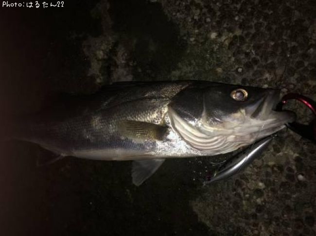 �����Х�