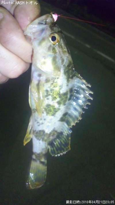 �����Υ���Х�