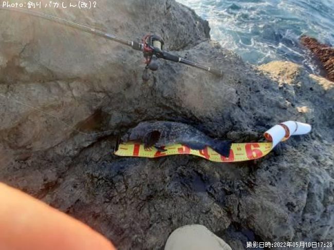 �����ʥ�