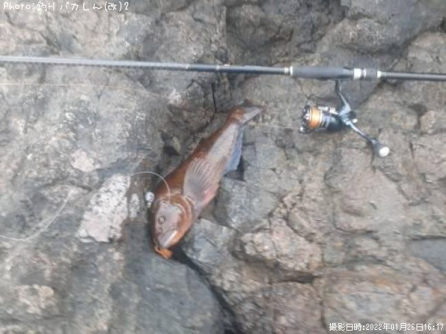 �����ʥ�