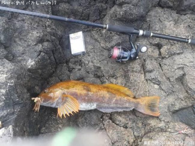 �����ʥ�