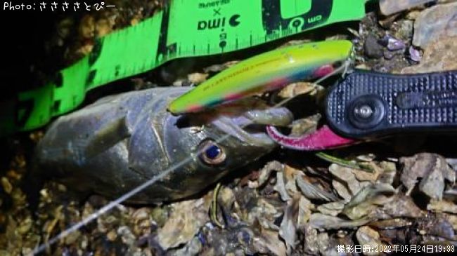 �����Х�