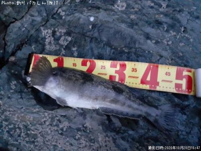 �����ʥ�