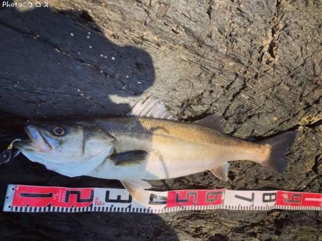 �����Х�