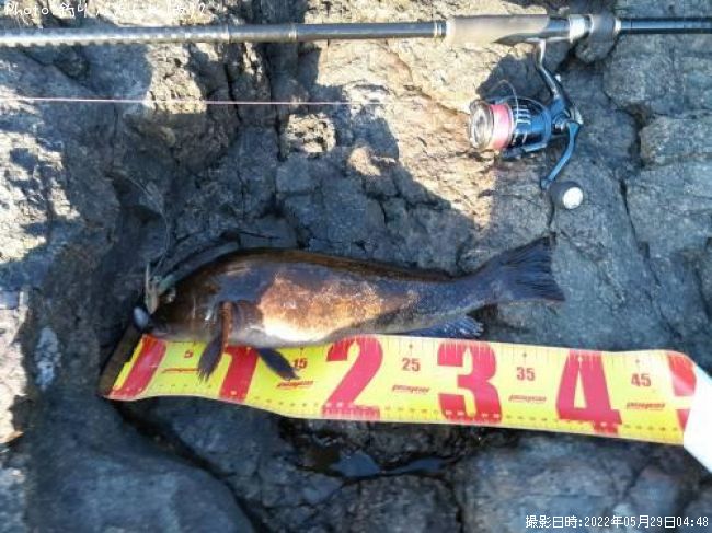 �����ʥ�