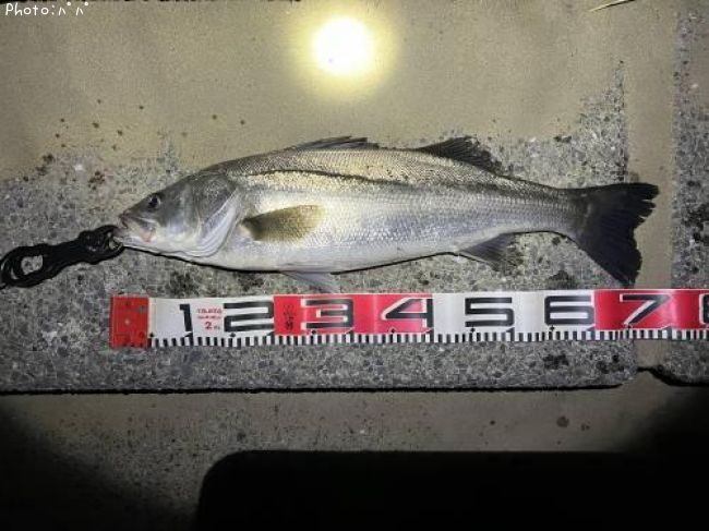 �����Х�