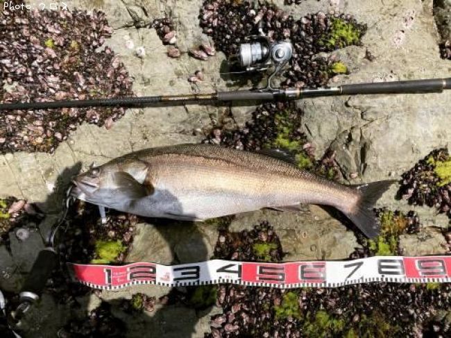 �����Х�