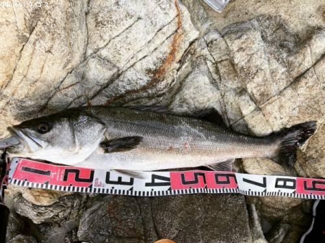 �����Х�