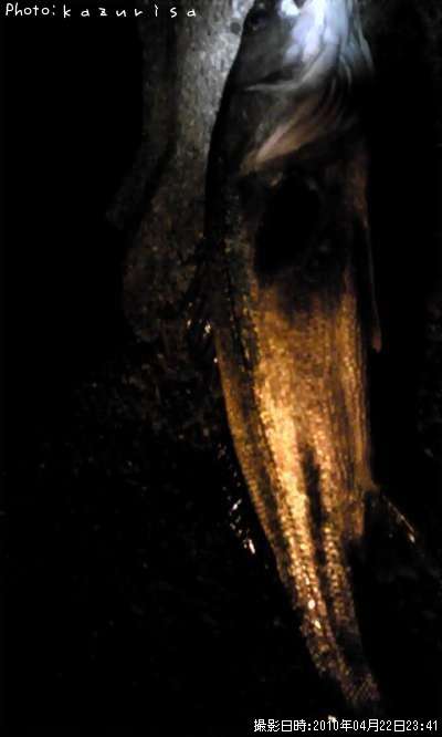 �����Х�