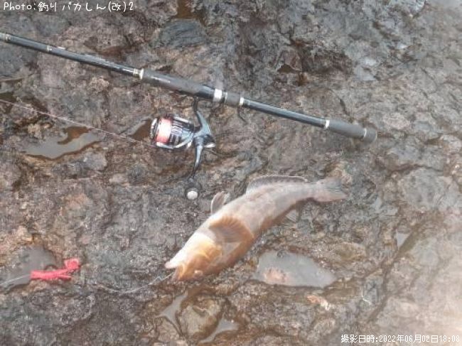 �����ʥ�