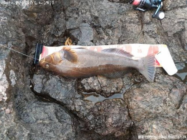 �����ʥ�