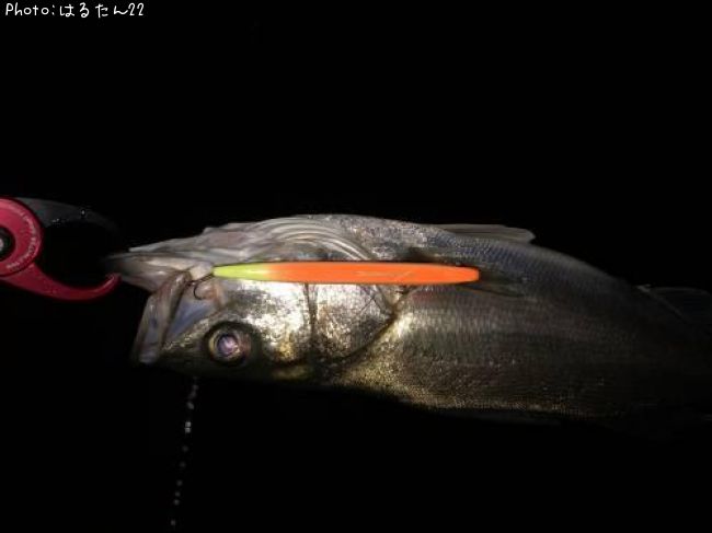 �����Х�