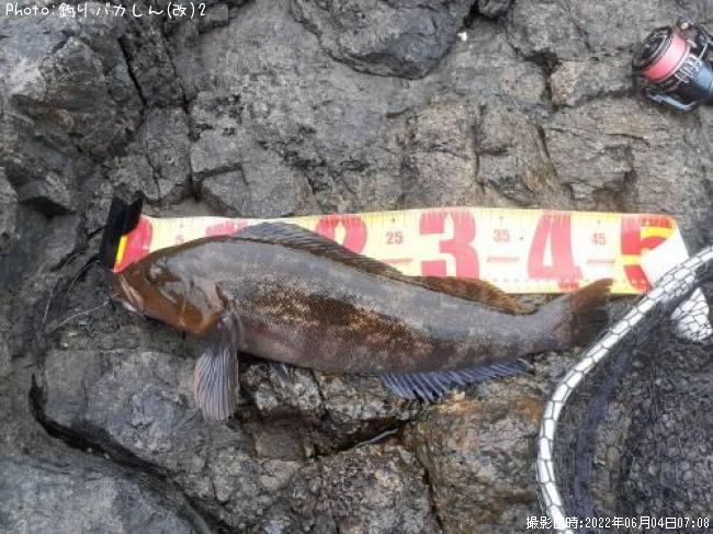 �����ʥ�