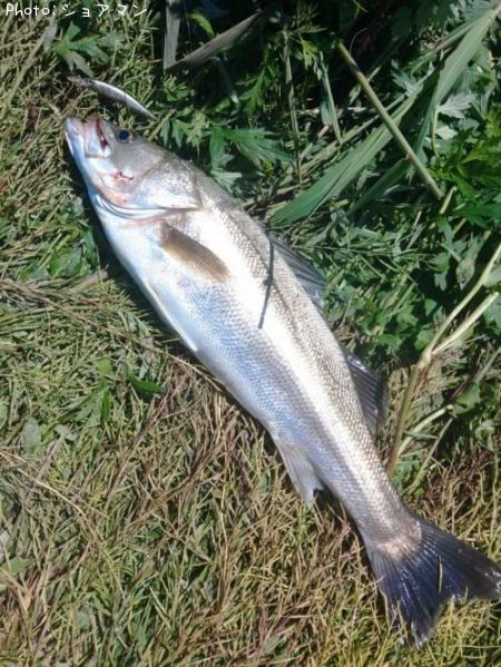 �����Х�