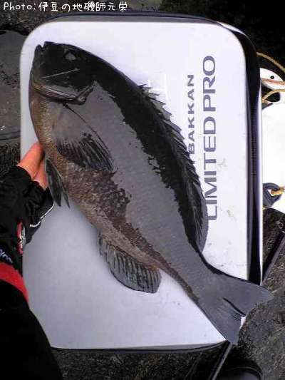 �����᥸��