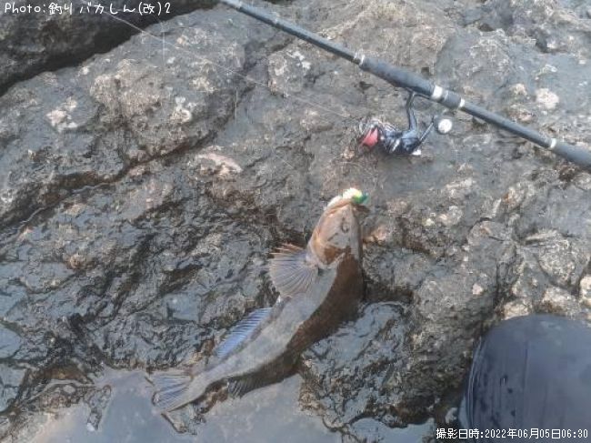 �����ʥ�