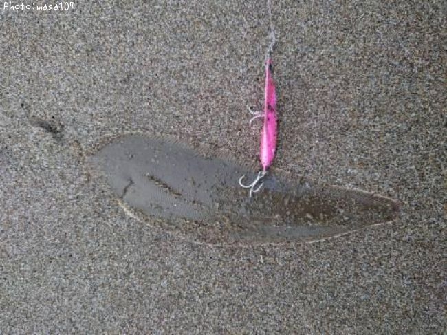 �����ӥ��