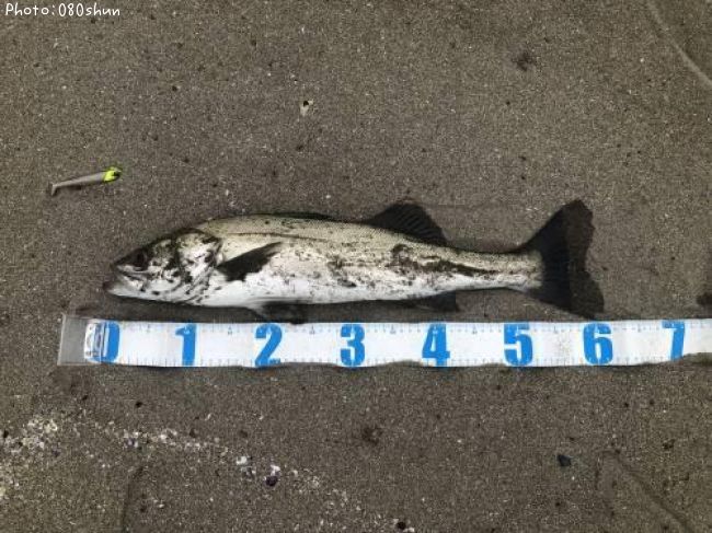 �����Х�