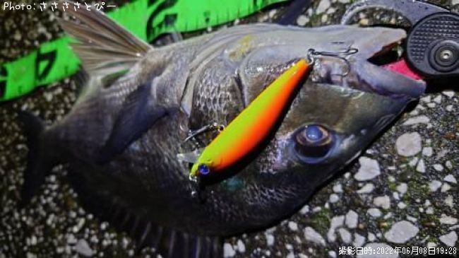 ���������������Х�