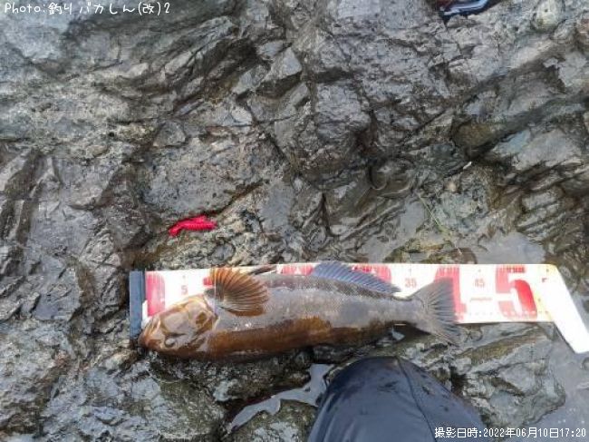 �����ʥ�