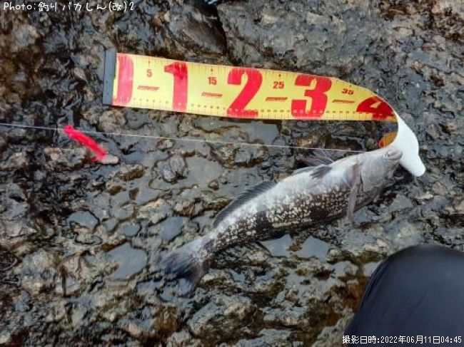 �����ʥ�