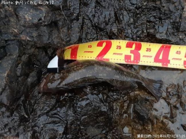 �����ʥ�