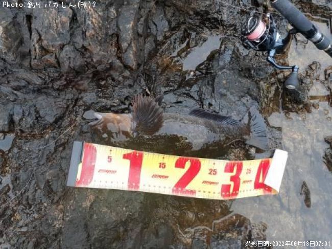 �����ʥ�