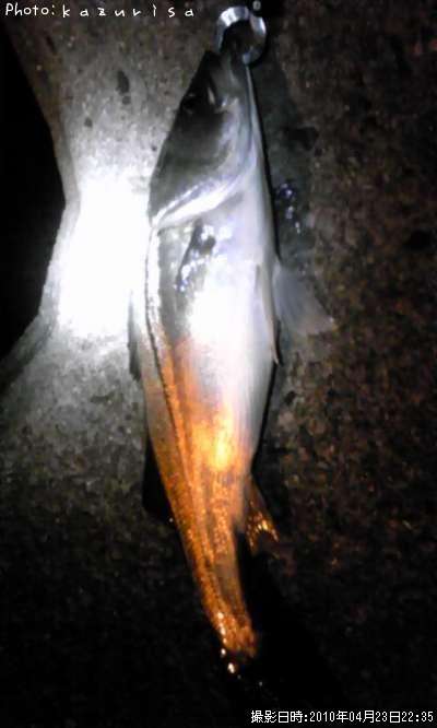 �����Х�