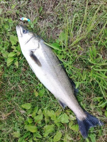 �����Х�