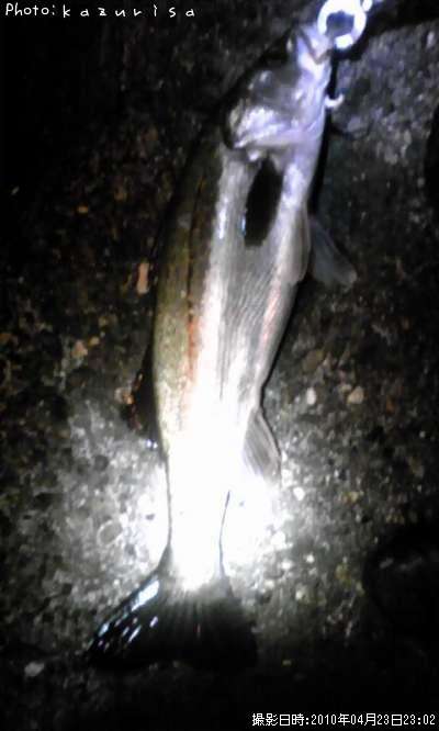 �����Х�