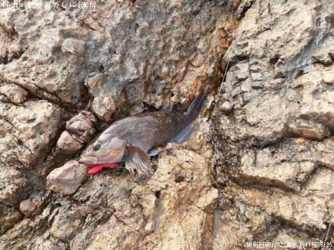 �����ʥ�