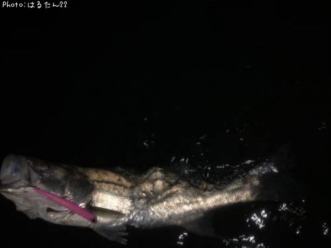 �����Х�