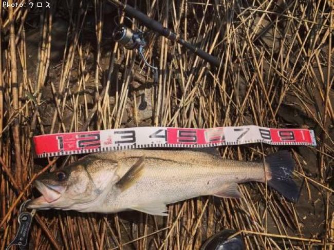 �����Х�