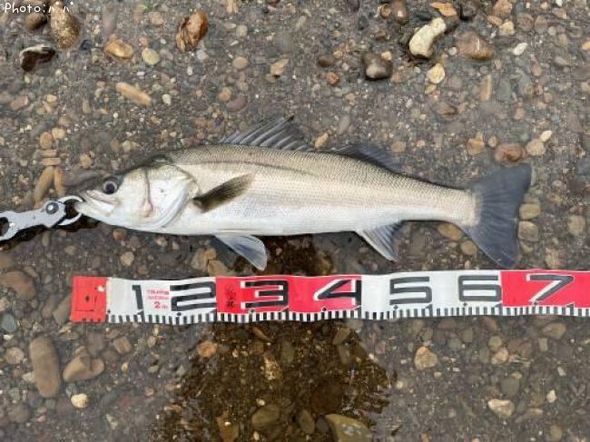 �����Х�