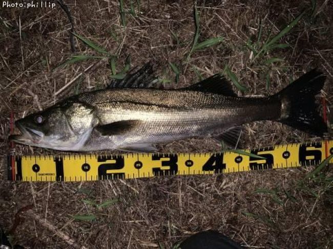 �����Х�