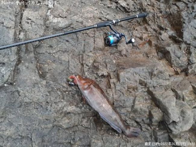 �����ʥ�