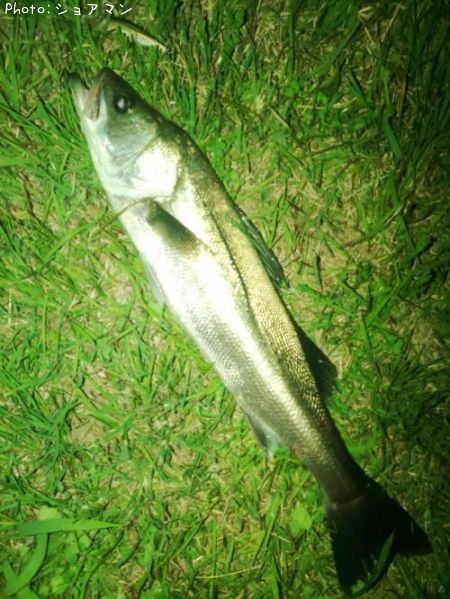 �����Х�