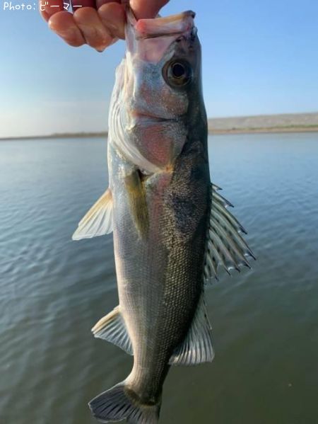�����Х�