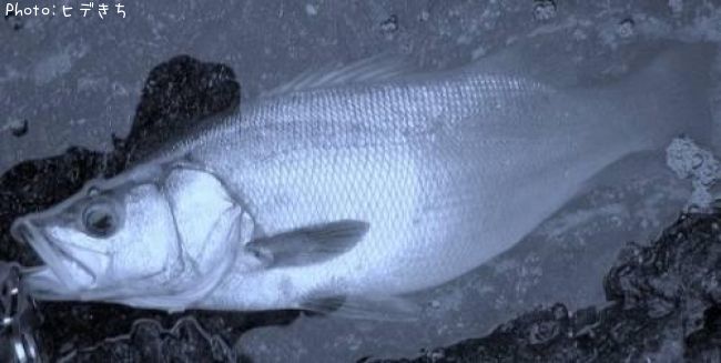 �ҥ饹����