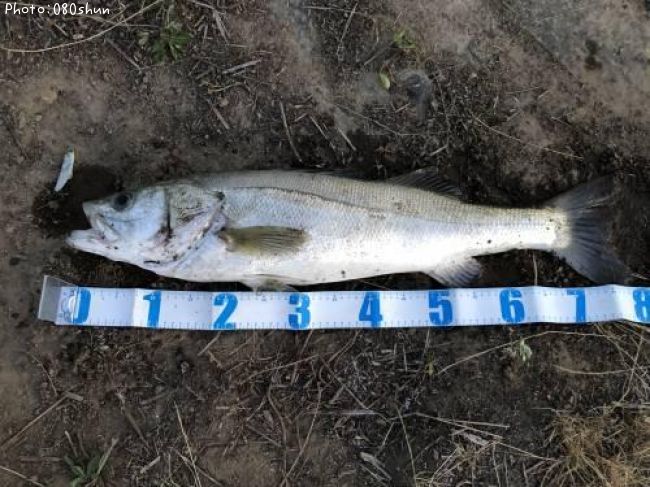 �����Х�