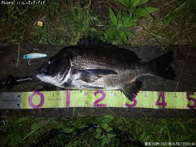 ���������������Х�