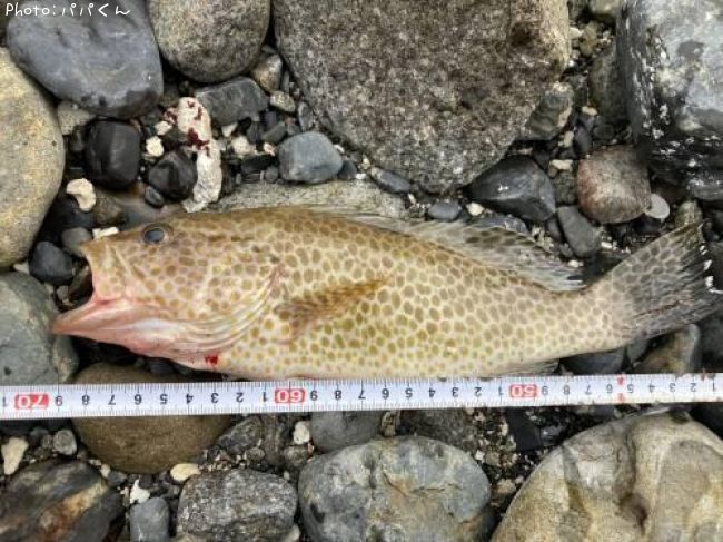 �������ϥ�