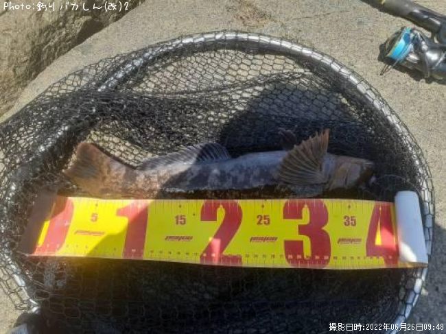 �����ʥ�