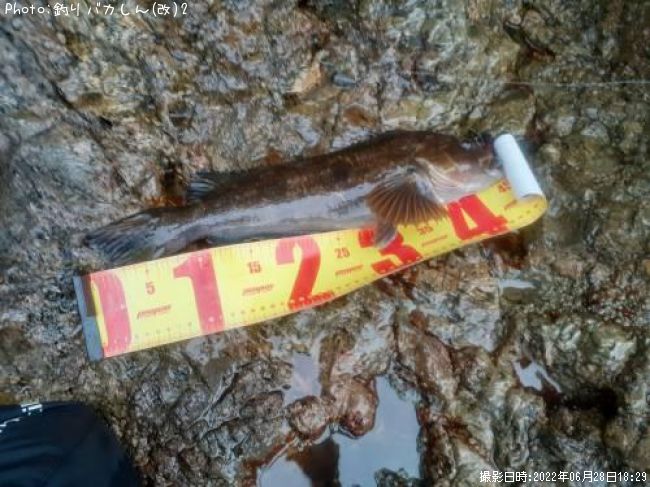 �����ʥ�