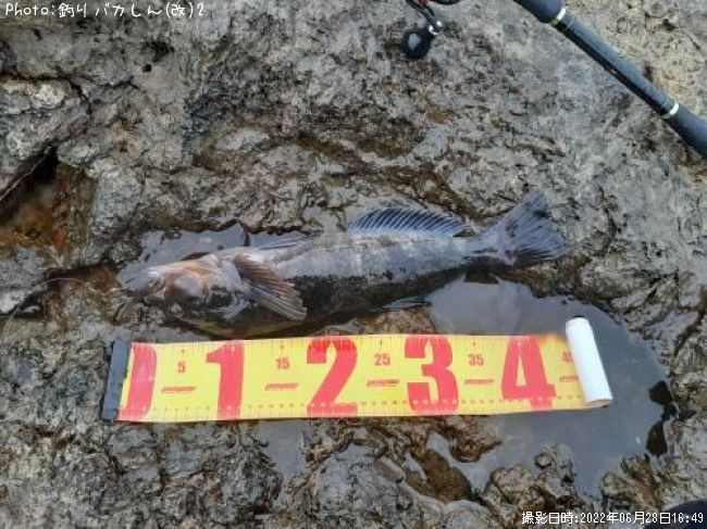 �����ʥ�