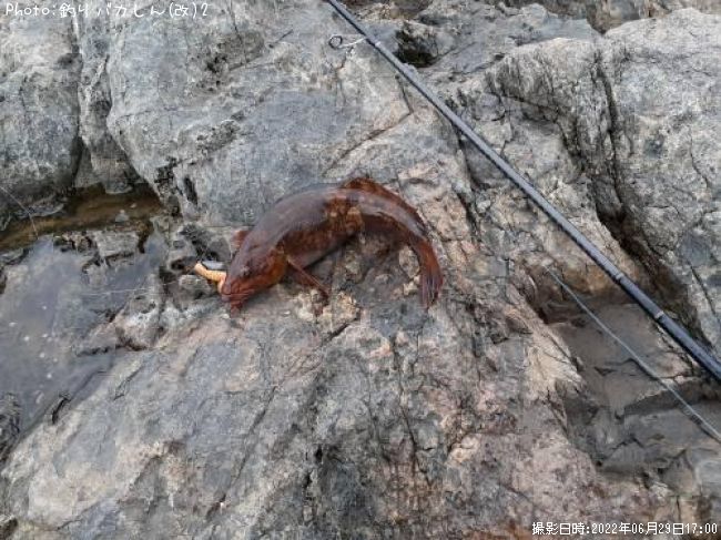 �����ʥ�