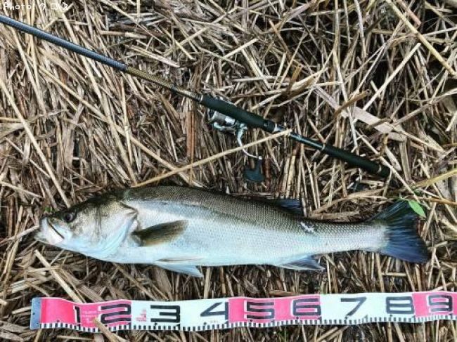 �����Х�