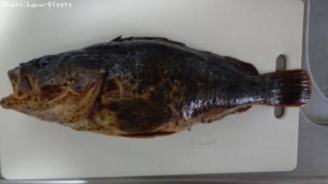 �٥å�������