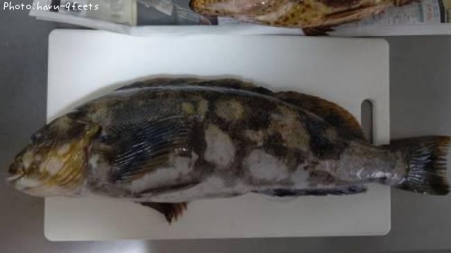 �����ʥ�