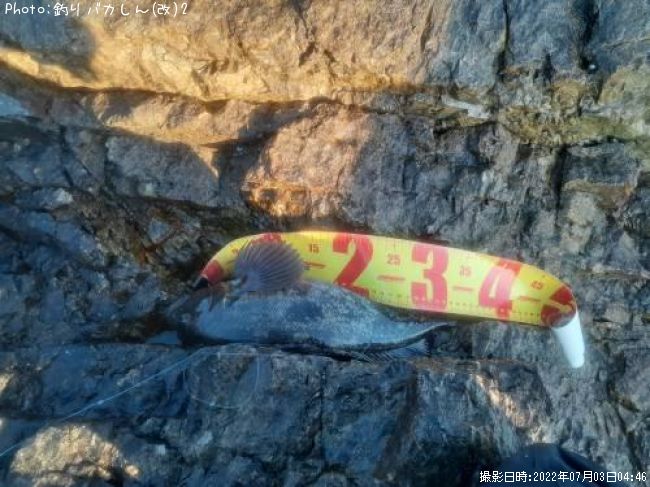 �����ʥ�